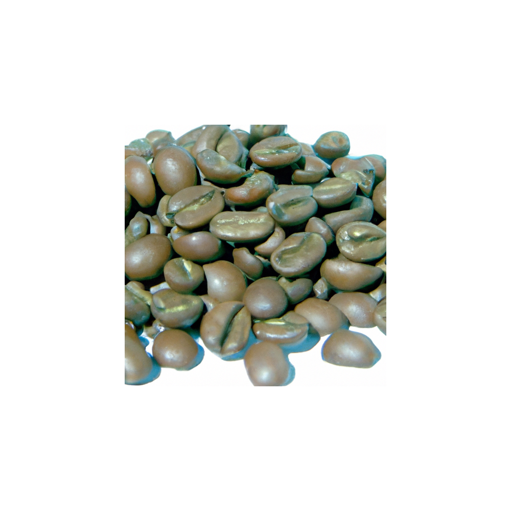 Café Éveil d'Atlas
