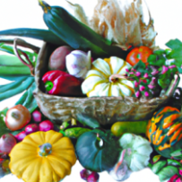 Paniers Bio de Saison