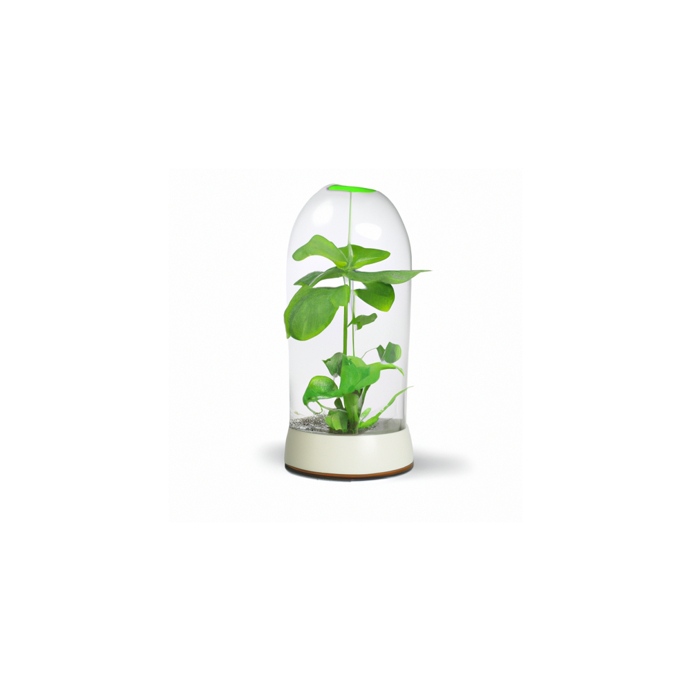 Vase HydroFlore Vase HydroFlore