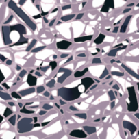 Kit de Démarrage Eco-Responsable