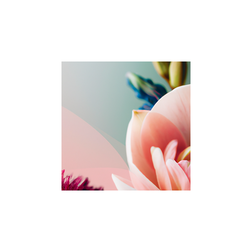 Flower Bloom Magic Flower Bloom Magic