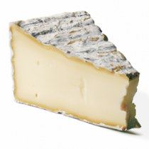 Fromage Fermier de Montagne