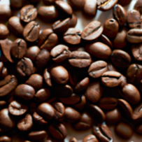 Café Signature "Arabica Premium"