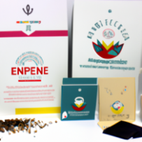 Kit Découverte des Entrepreneurs