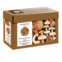 Coffret Dégustation ChampiMaroc