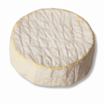 Crottin de Casablanca