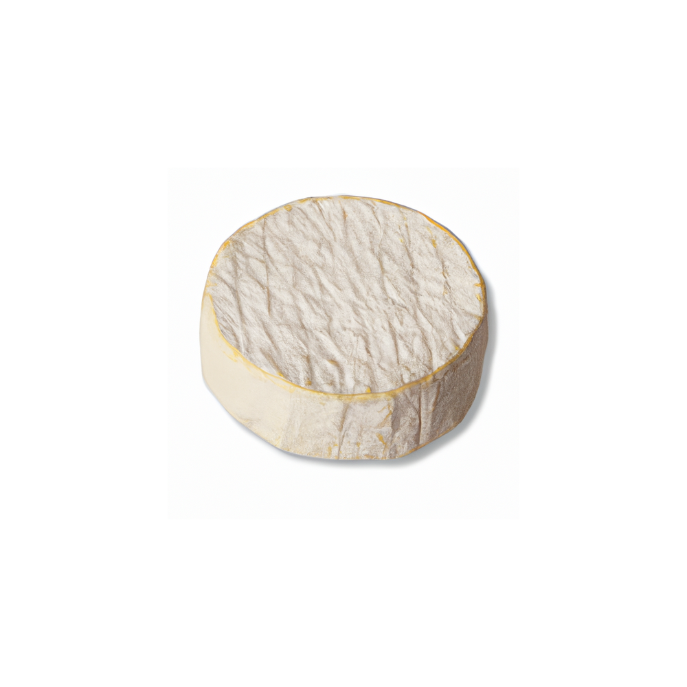 Crottin de Casablanca