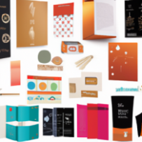 Coffret d'Inspiration "Patrons Pro"