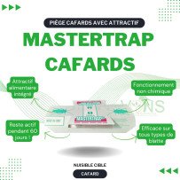 Mastertrap cafards